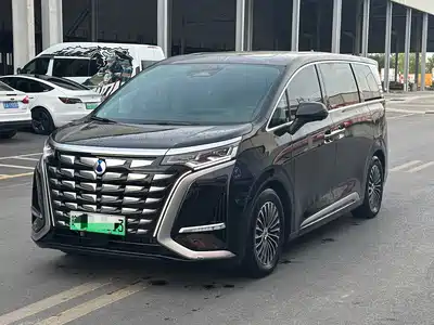 Denza D9