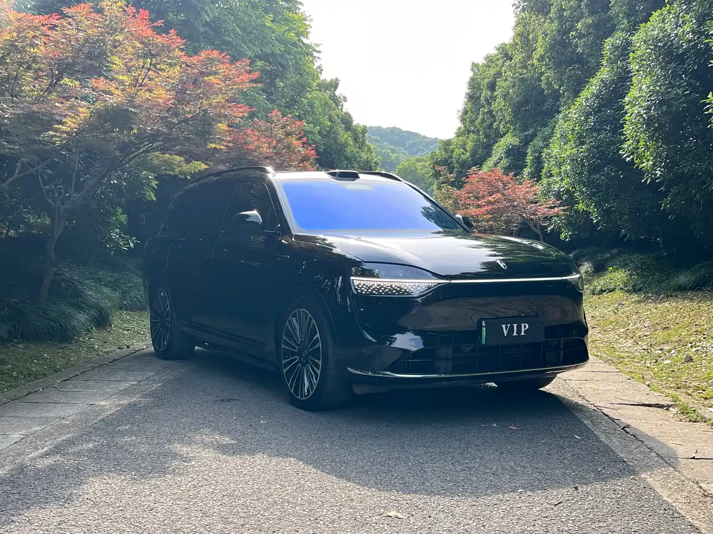 AITO Wenjie AITO M9 2024 Extended Range Ultra 42kWh 6-Seater фото 4