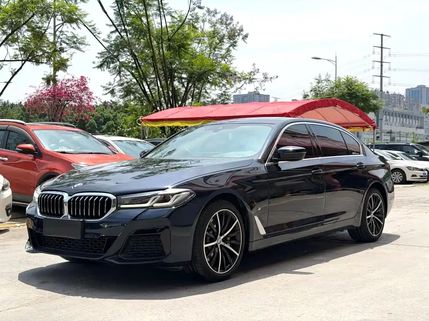 BMW 5 Series 2021 530Li Premium Luxury Package