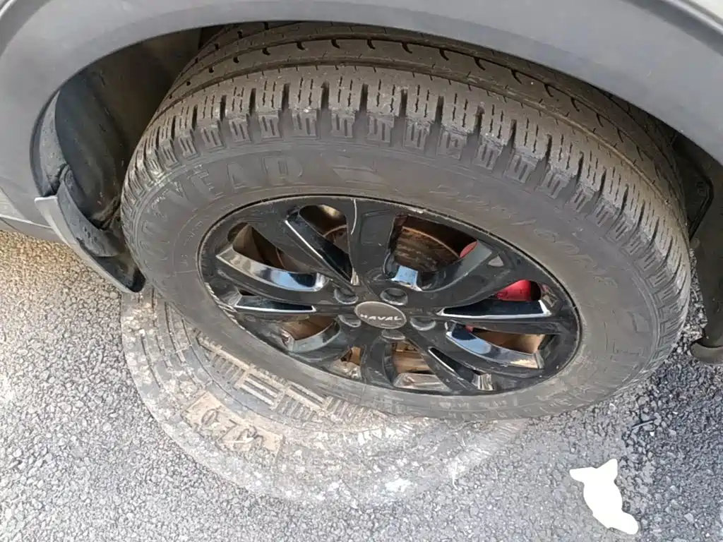 Haval H4 2019 2019 1.5GDIT Pro Edition China VI