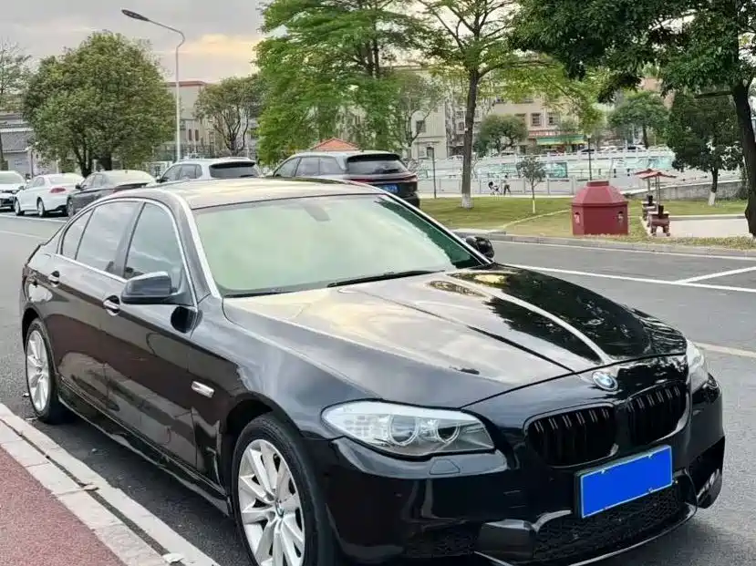 BMW 5 Series 2012 535Li Luxury фото 3