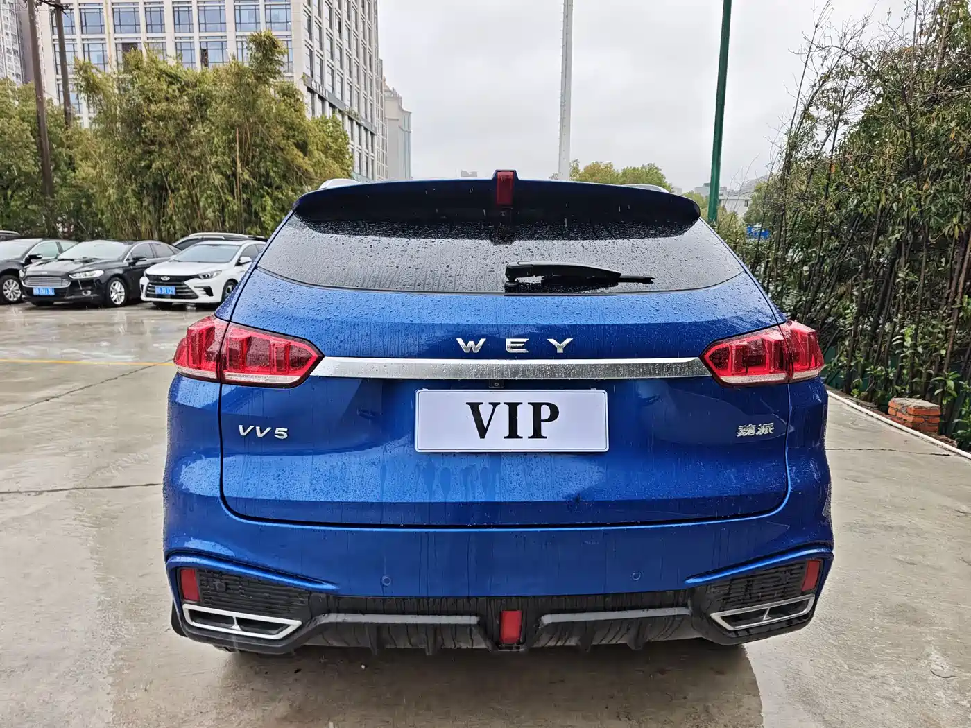 WEI PAI WEI BRAND VV5