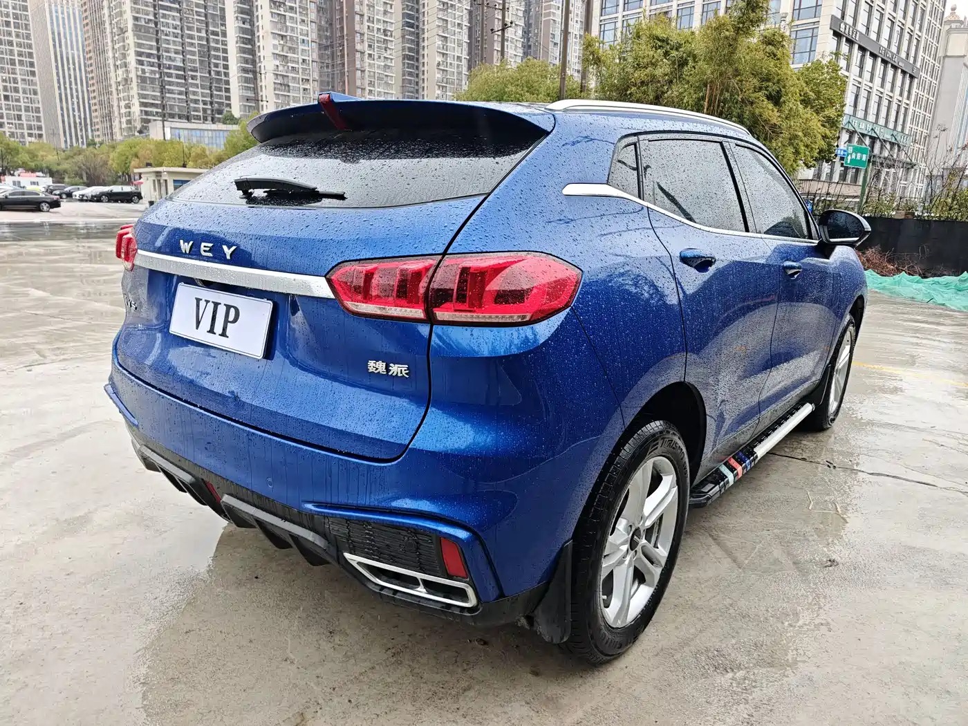 WEI PAI WEI BRAND VV5