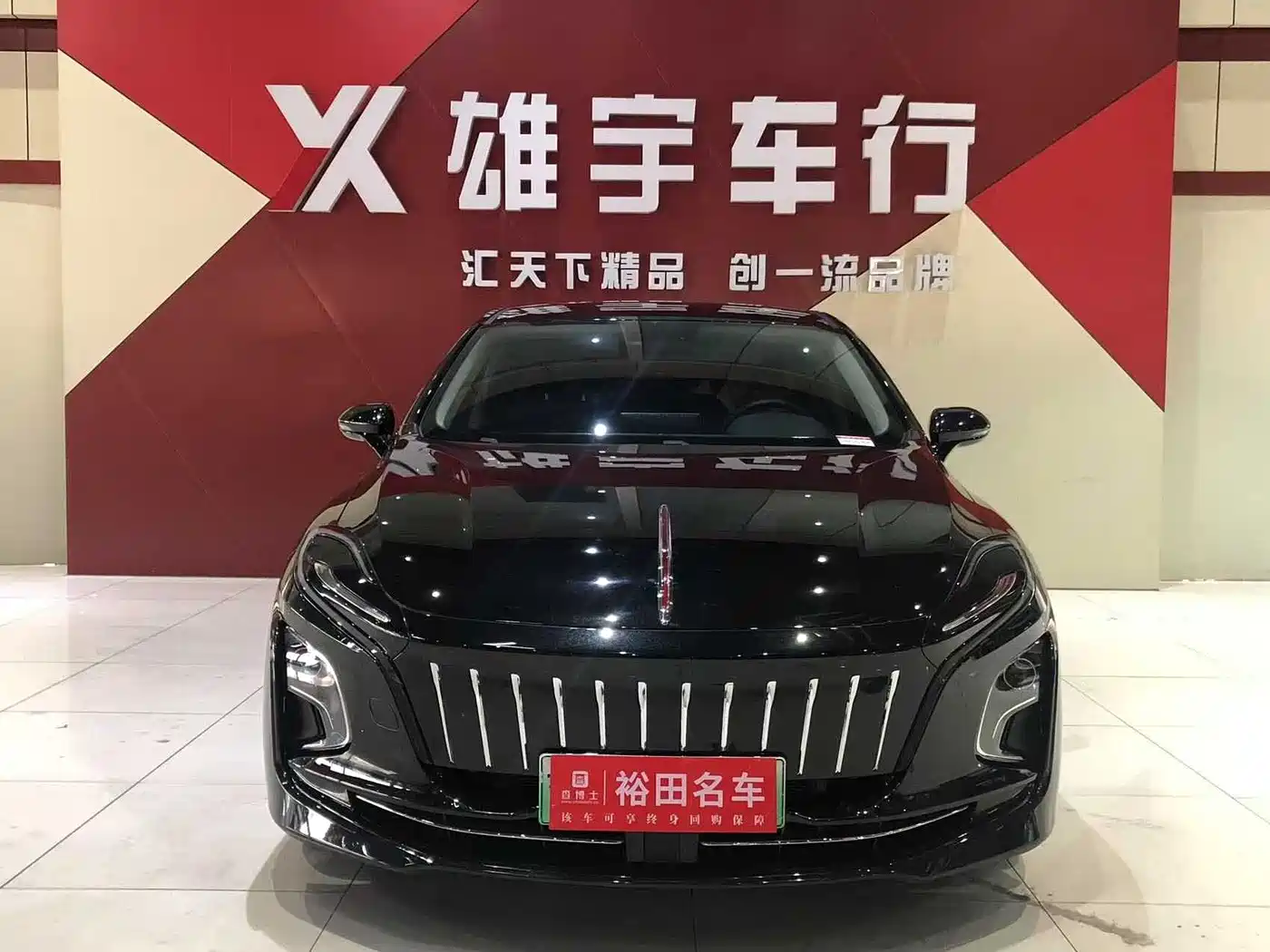 Hongqi HONGQI E QM5