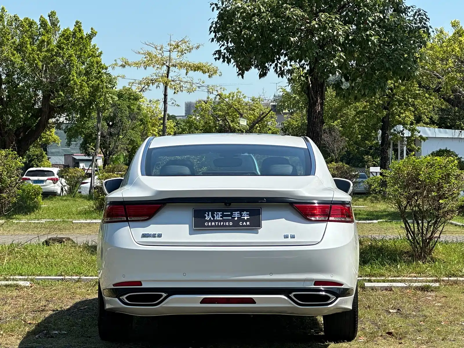 Фото 25 - Geely Borui