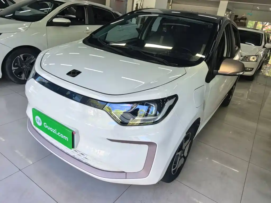 Sehol Flower Fairy 2023 2023 Anniversary Edition 301km Sunflower 36kW
