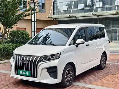 BAIC Ruisheng Wangpai M7