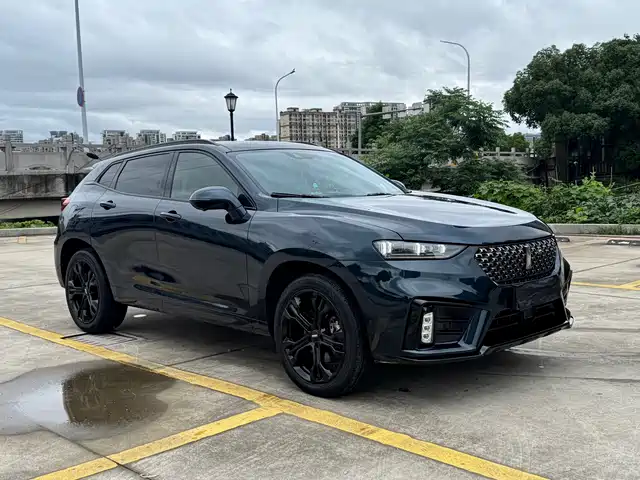 WEI PAI WEI BRAND VV7