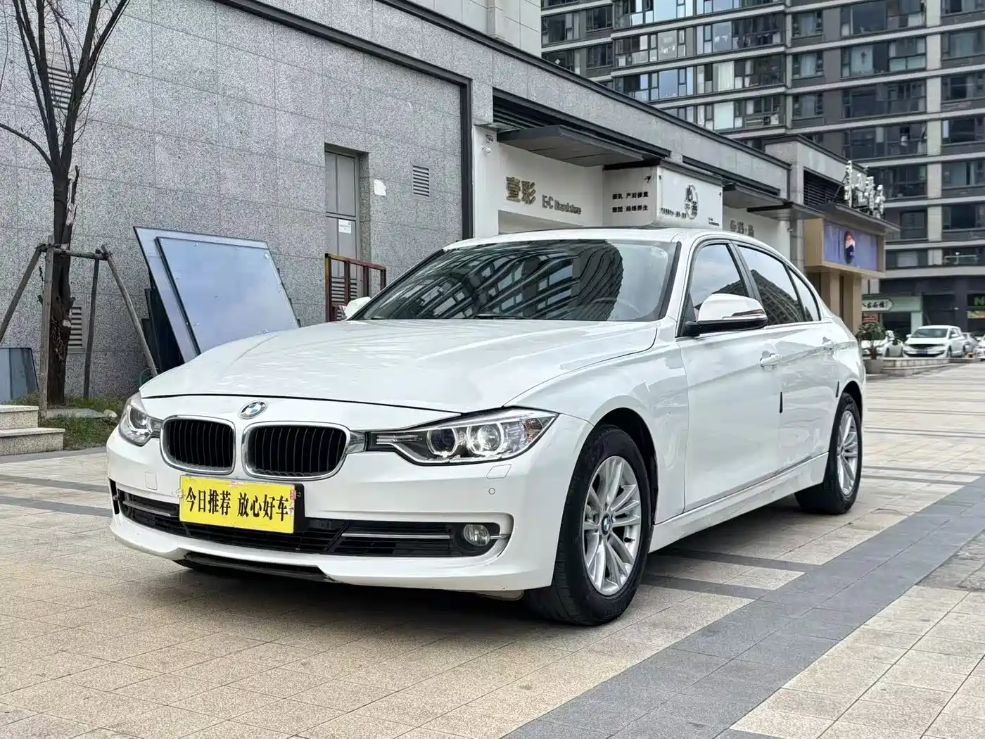 BMW 3 Series 2013 320Li Style Design Package