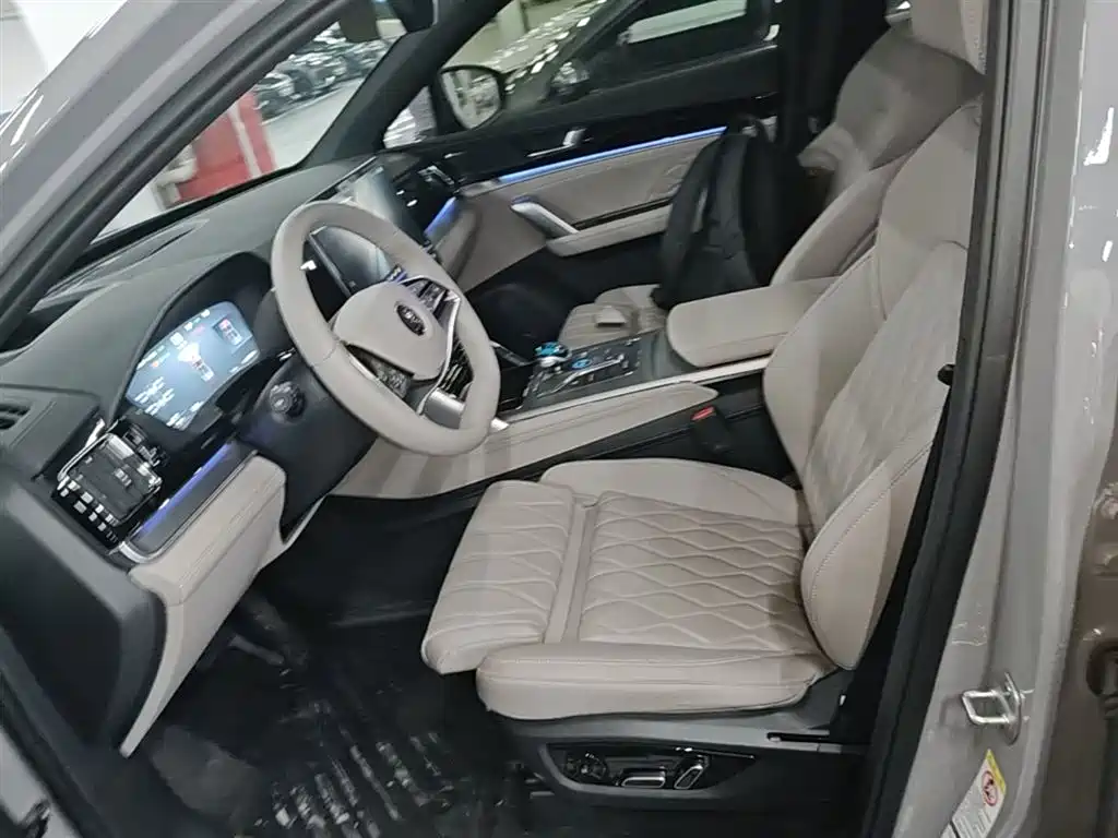 BYD Tang New Energy 2025 Smart Driving Edition DM-i 115KM Flagship фото 15