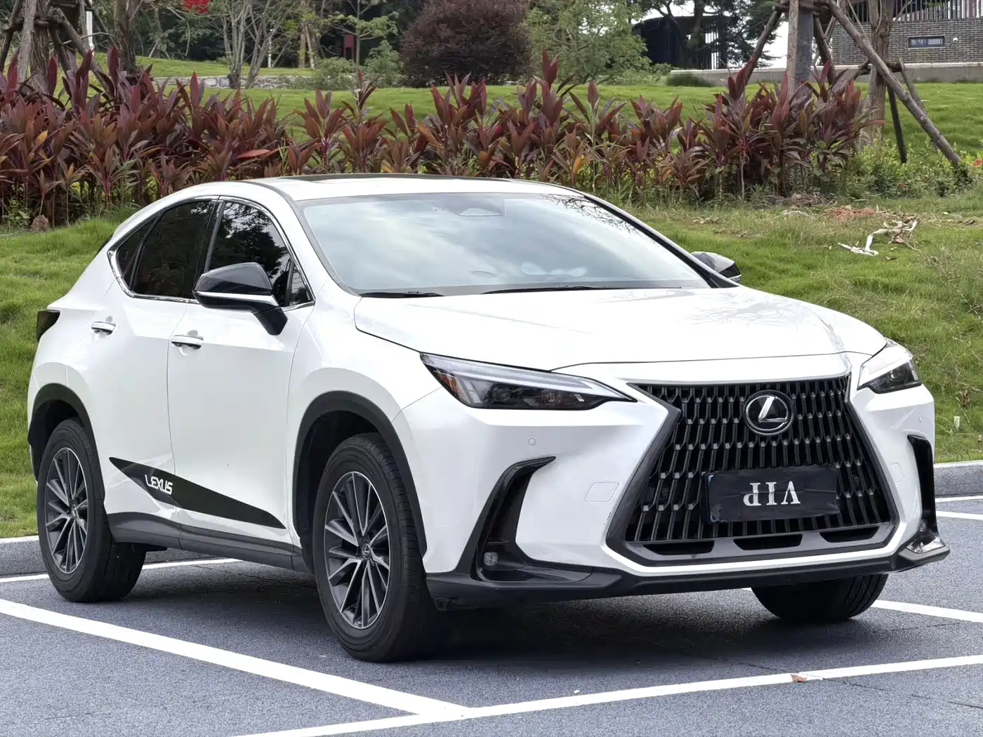 Lexus NX 2024 2024 260 FWD Joy Creation Edition
