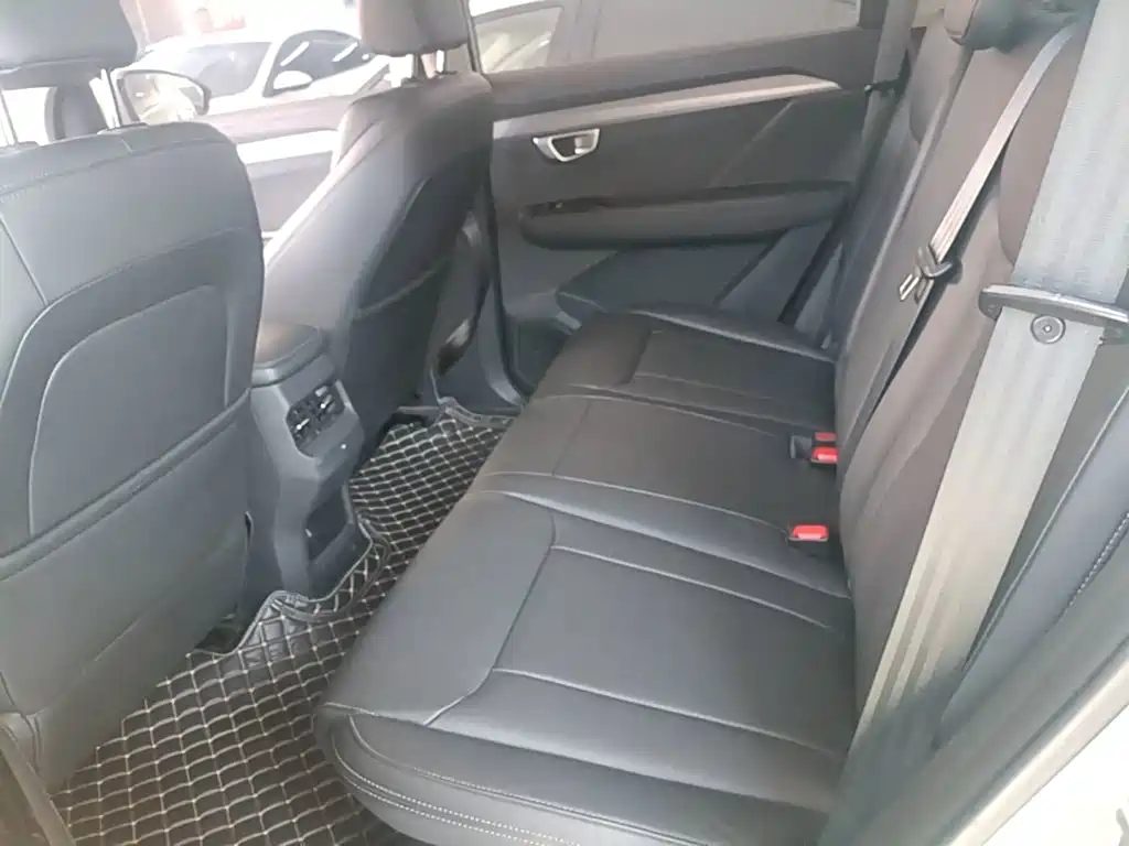 Wuling Motors Wuling Xingchen 2023 2022 2.0L DHT Electric Power Edition