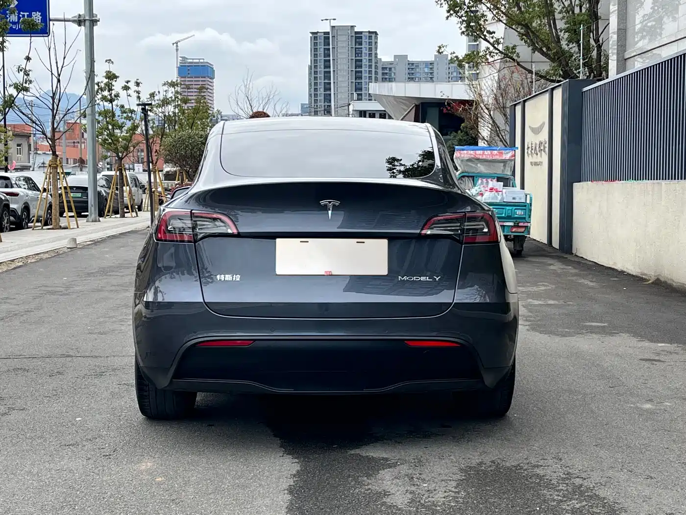 TESLA MODEL Y