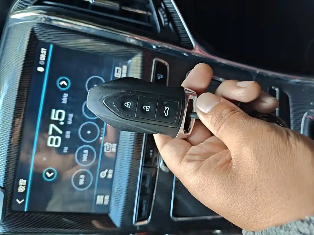 Leopaard CS9 2018 2017 1.5L Manual Trend