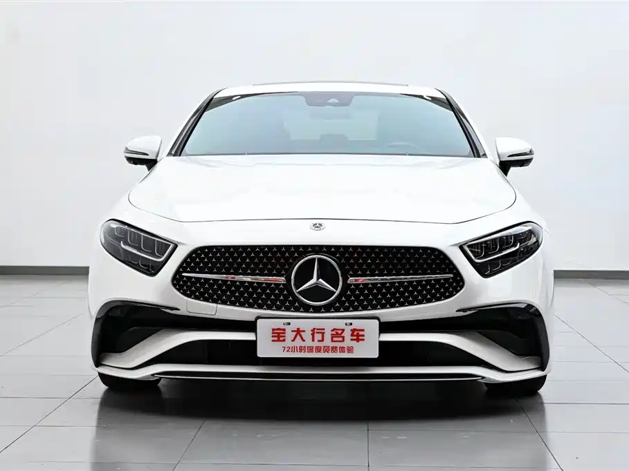 Mercedes-Benz CLS 2022 CLS 300 Luxury фото 3