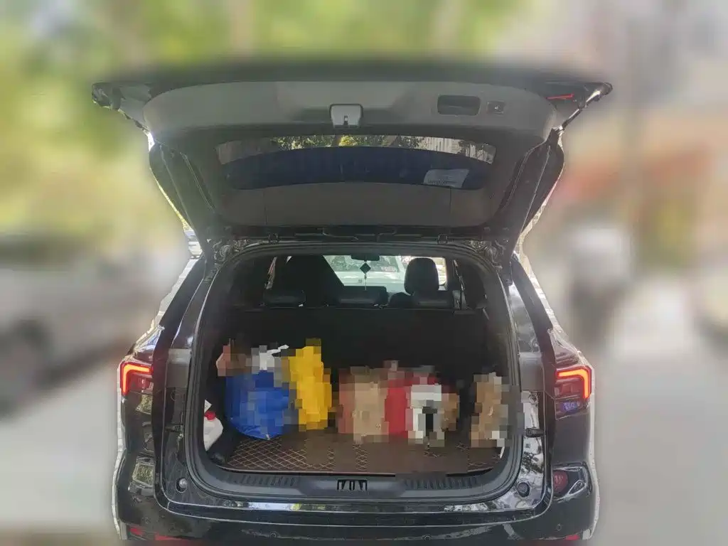 Ford Lingrui 2023 2022 Facelift EcoBoost 170 Premium