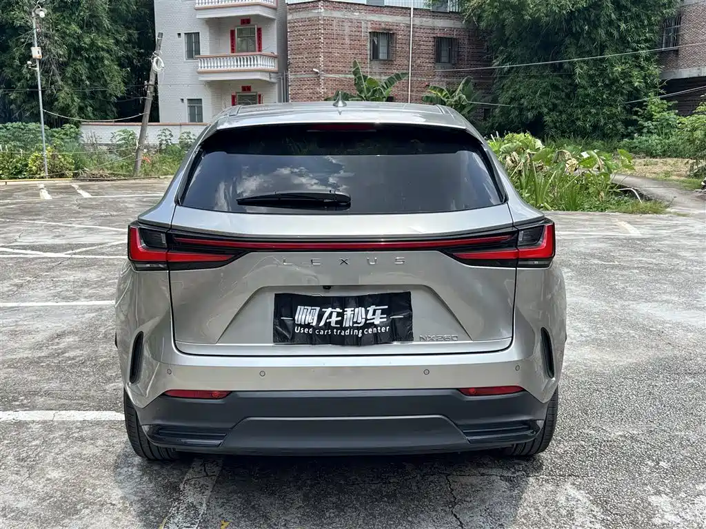 Фото 8 - Lexus NX