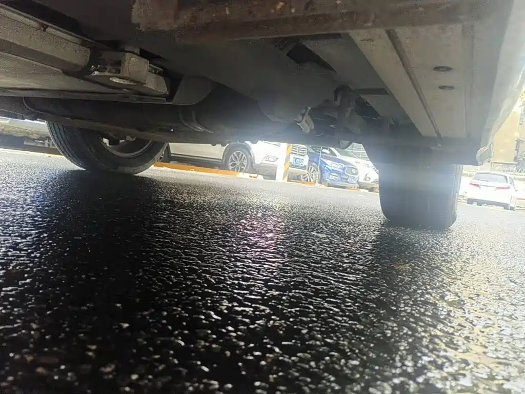 BYD Song New Energy 2019 2019 Song DM 1.5TID Smart Connection Sharp