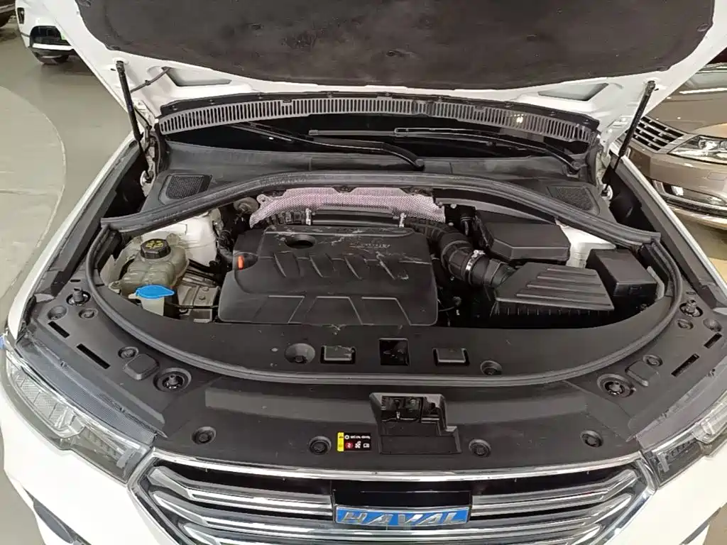 Haval H7 2019 2018 Blue Label H7 2.0T Automatic Joy Edition
