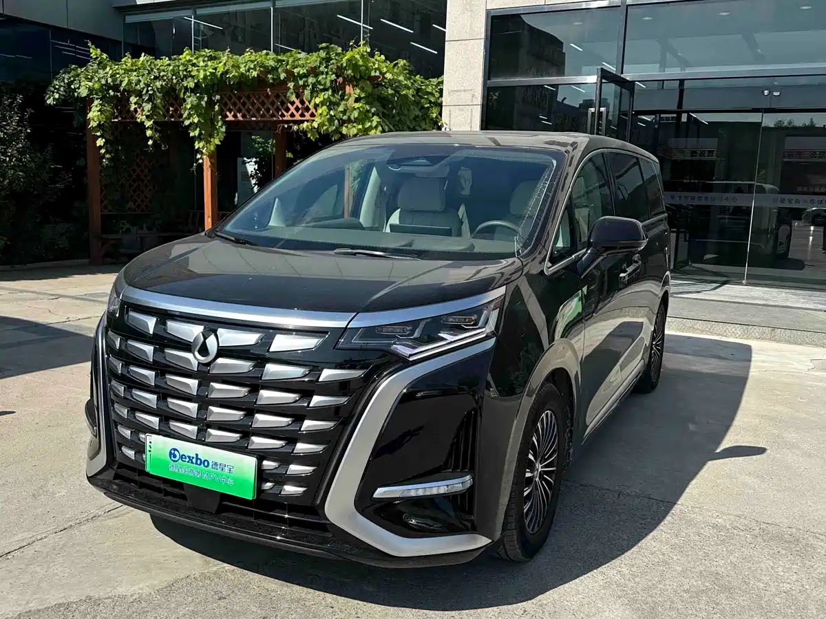 Denza D9 2023 2022 DM-i 970 All-Wheel Drive Honor Edition