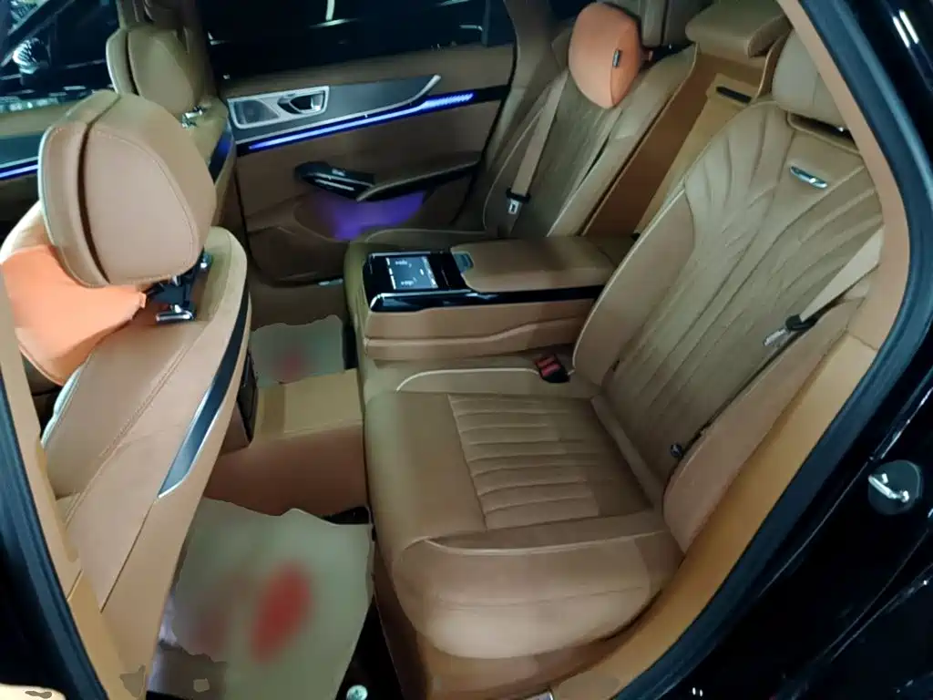 Hongqi H9 2025 2024 2.0T Qi Enjoy Private Fashion Edition