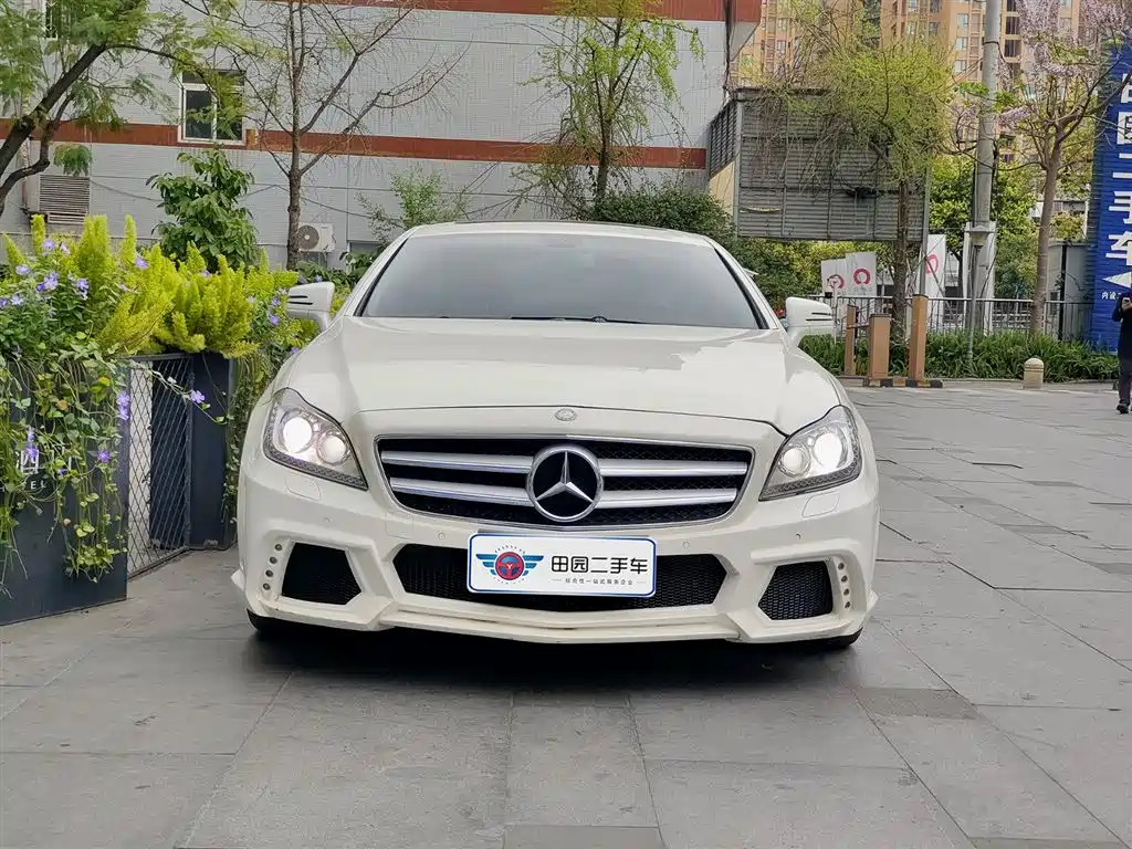 Mercedes-Benz CLS 2012 CLS 300 CGI фото 2