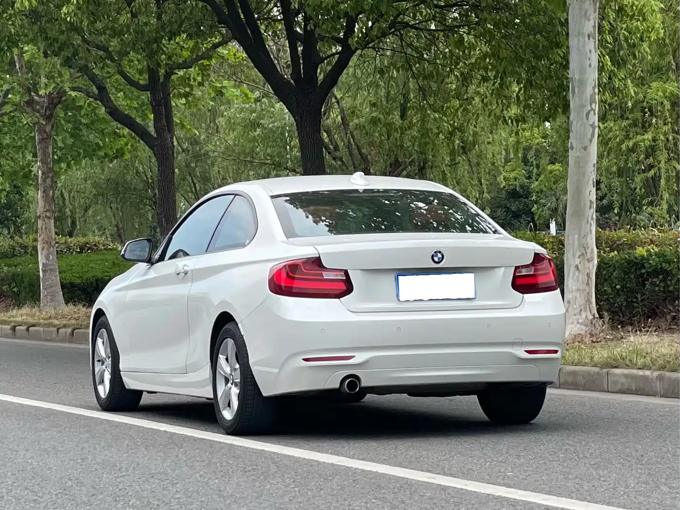 BMW 2 Series (Import) 2014 220i Leading фото 6