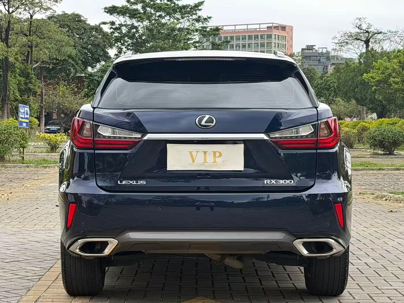 LEXUS RX
