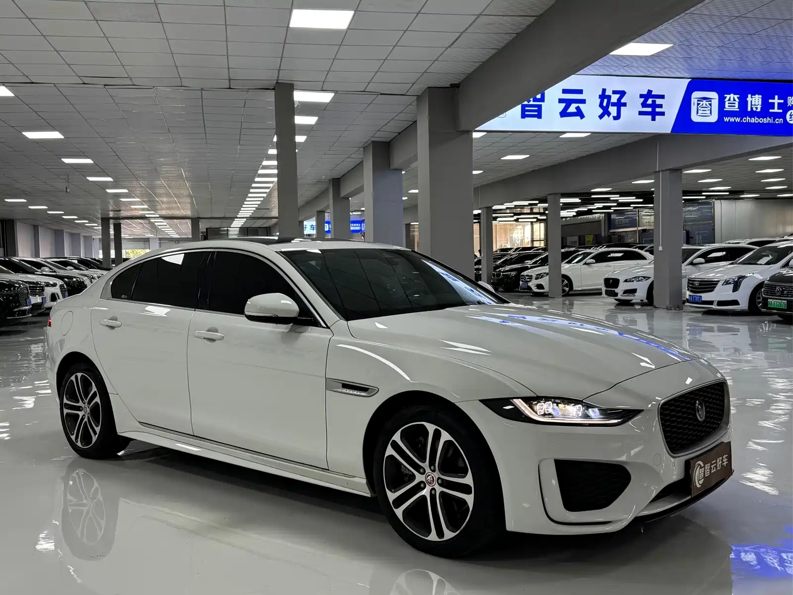 صورة 3 - Jaguar XEL