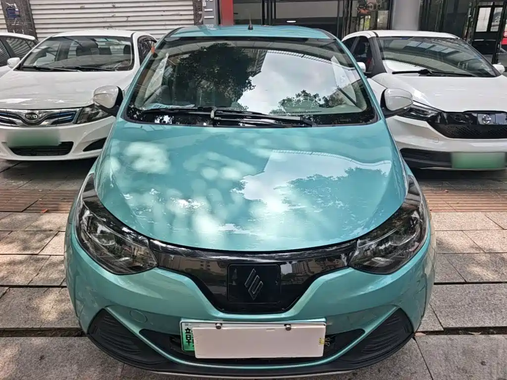 JMCG New Energy Little Kirin 2024 2023 Model Lucky Edition 201km Comfort