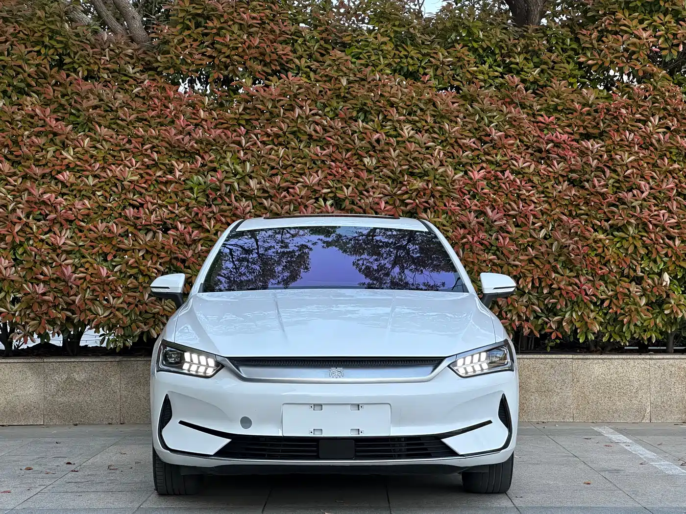 BYD Qin PLUS 2021 EV 400KM Luxury Model фото 12