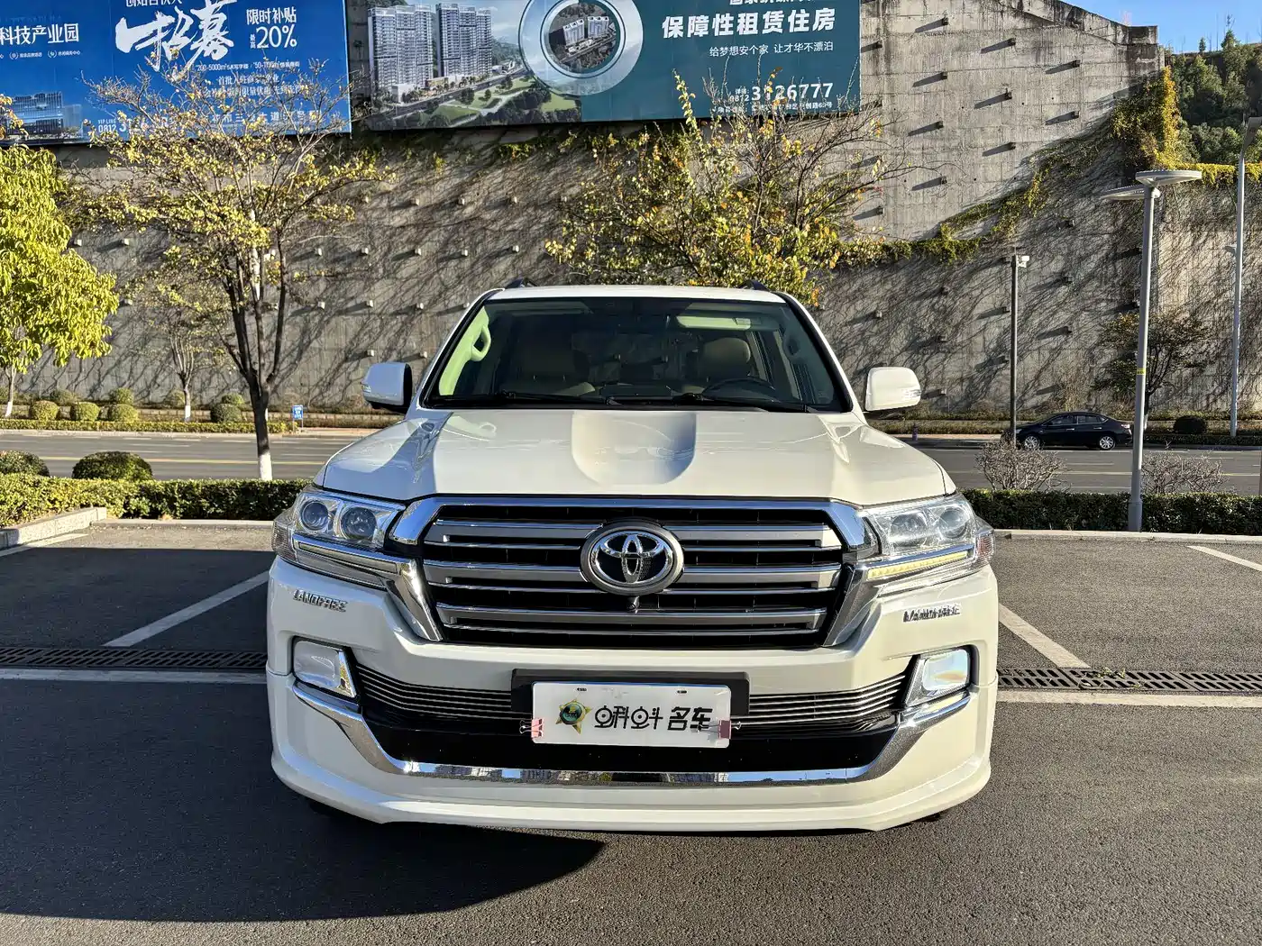 Toyota Land Cruiser (Import) фото 2