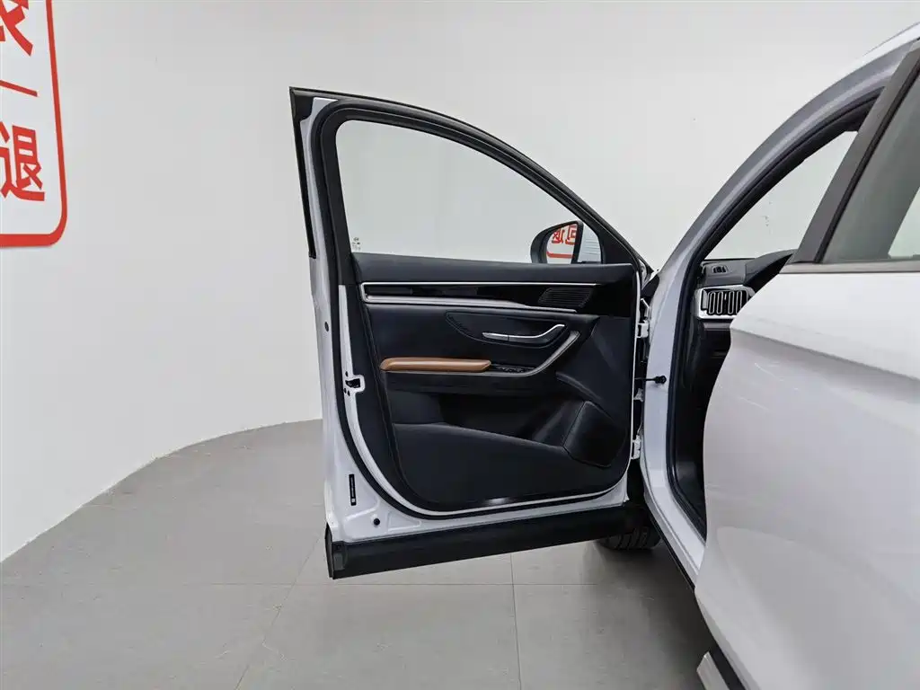 BYD Song PLUS 2020 1.5T Automatic Luxury фото 8