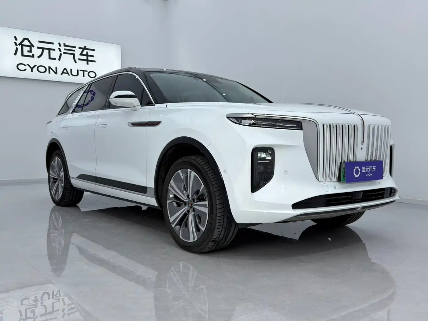 Hongqi E-HS9 2023 2022 660km Qi Chang Edition (6-seater)