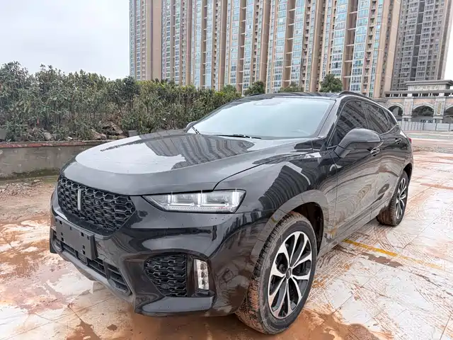 WEI PAI WEI BRAND VV7