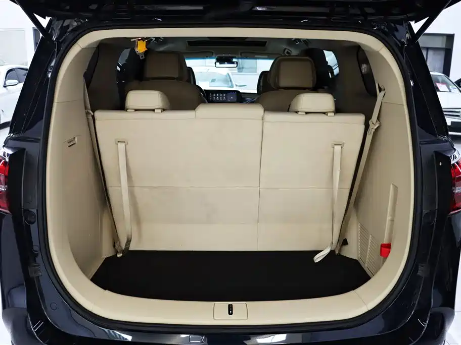 Buick GL8 2023 ES Landmaster Exclusive фото 24