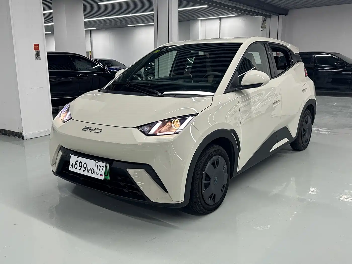 BYD Seagull 2025