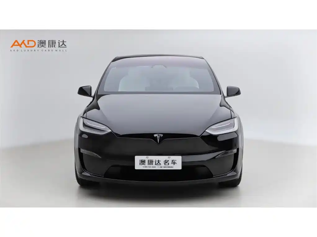 Фото 2 - Tesla Model X