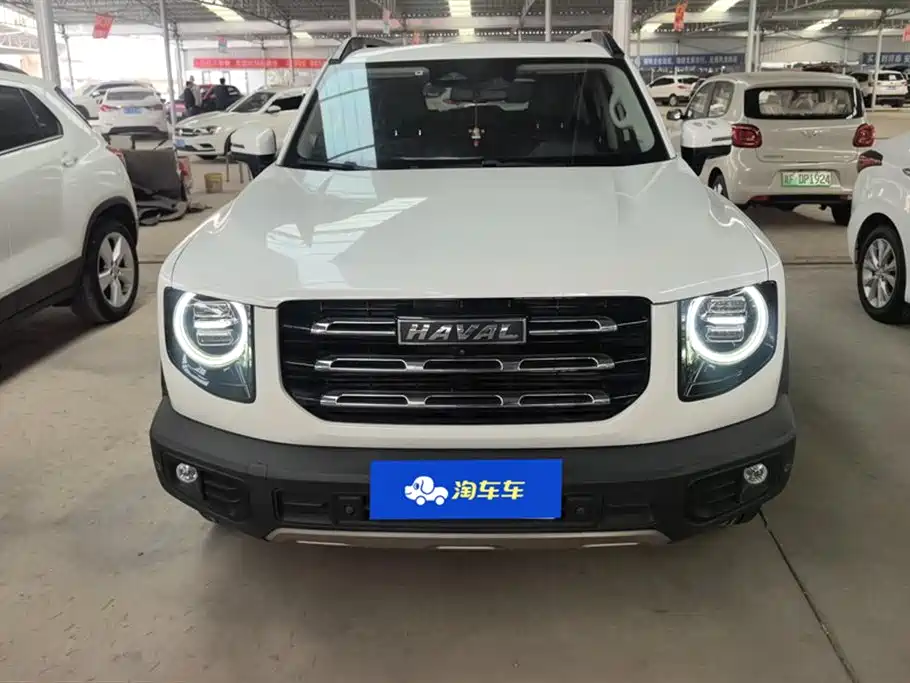 HAVAL BIG DOG