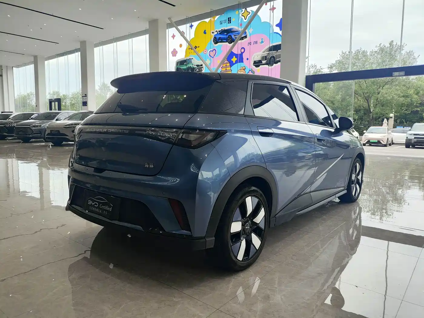 Photo 5 - BYD Dolphin
