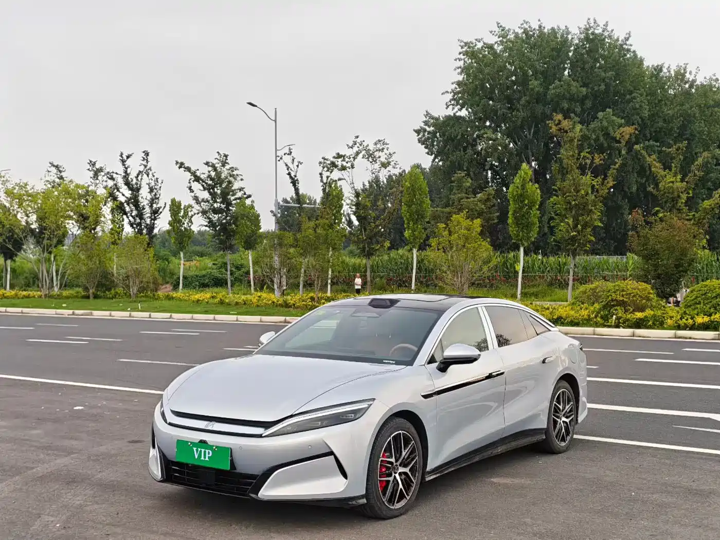 Фото 1 - BYD Han L