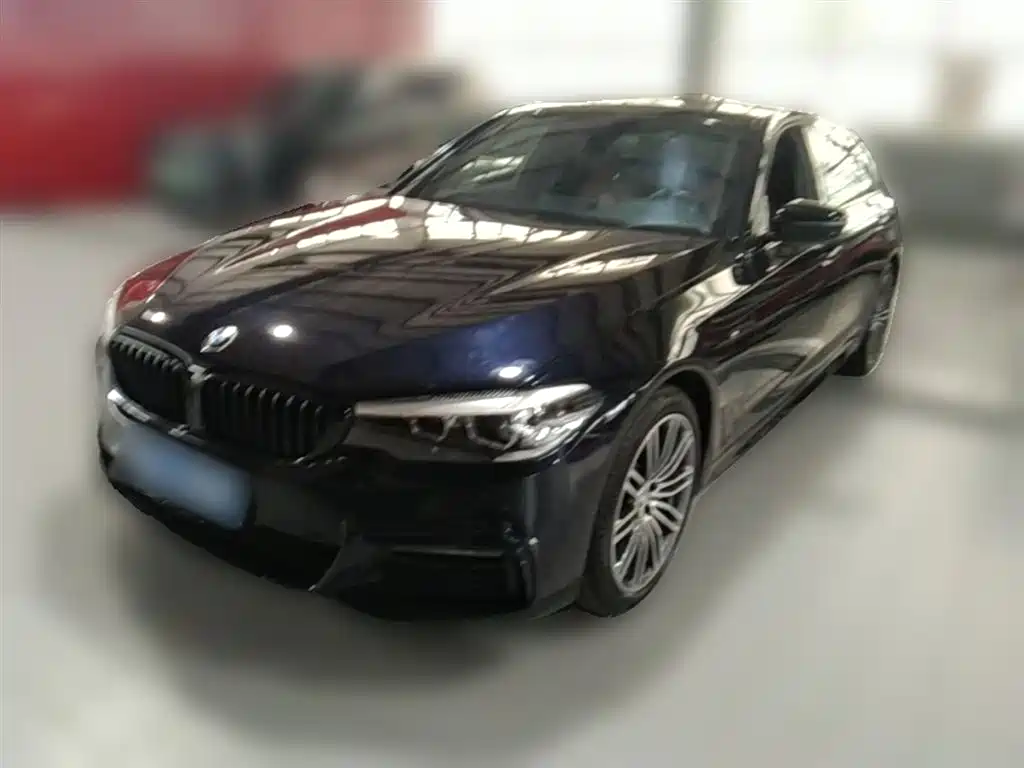 BMW 5 Series 2019 530Li Leading M Sport Package