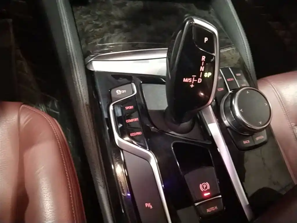 BMW 5 Series 2019 530Li Leading M Sport Package фото 11