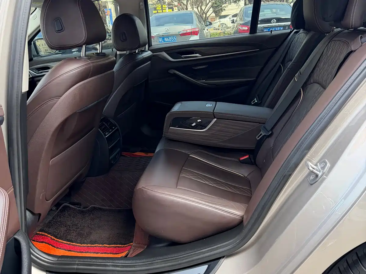 BMW 5 Series 2020 530Li Leading Luxury Package фото 8