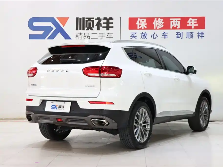 Haval H6 2020 1.5GDIT Automatic Platinum Luxury Edition фото 4
