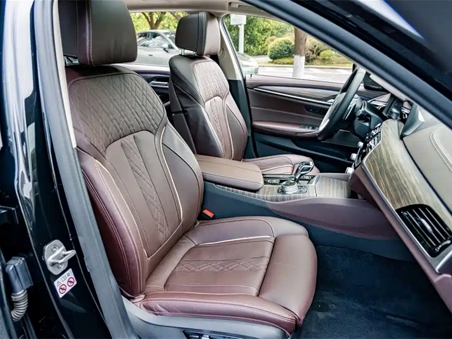 BMW 5 Series 2020 530Li Premium Luxury Package фото 21