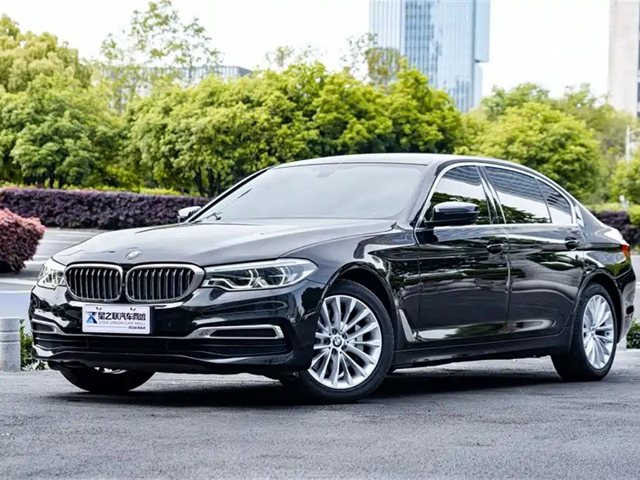 BMW 5 Series 2020 530Li Premium Luxury Package