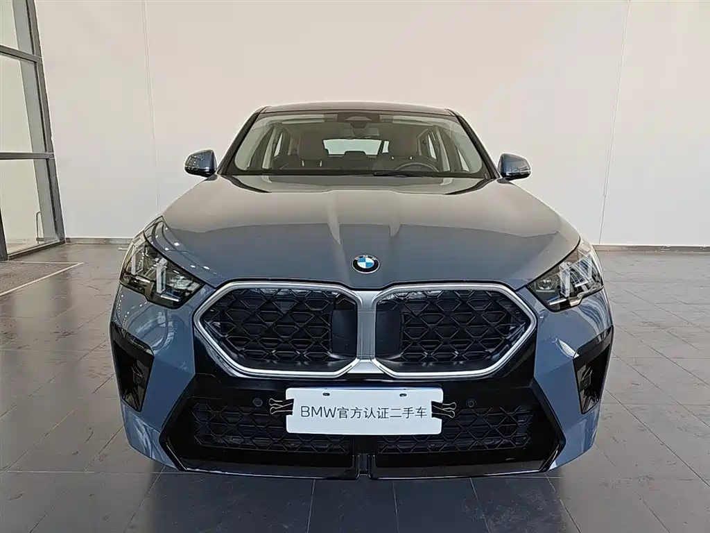 BMW X2 (Import) 2024 sDrive25i M Sport Package фото 2