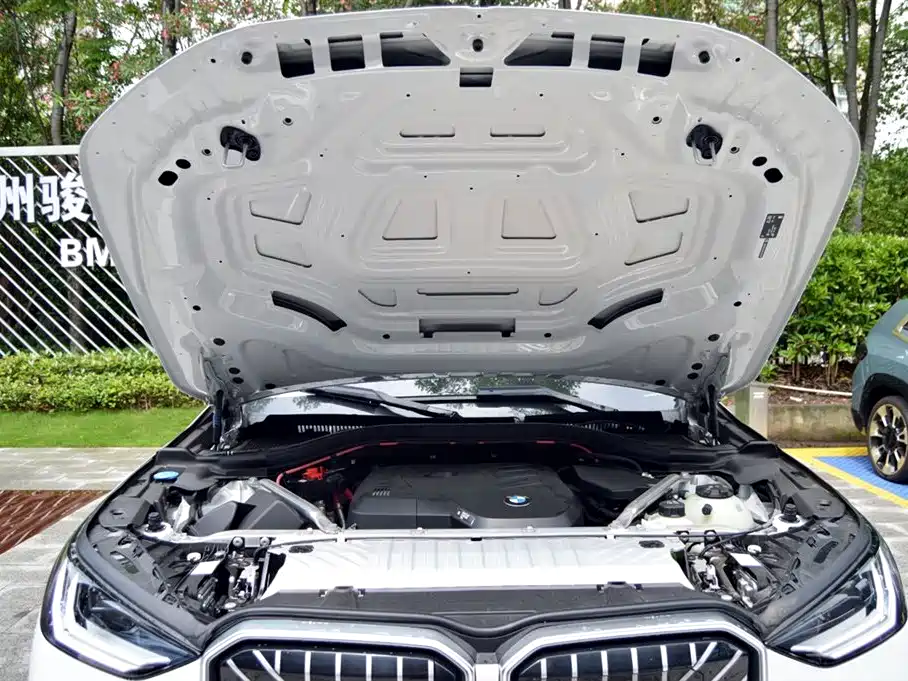 BMW X3 2025 xDrive30L Leading Model M Sport Black Package фото 16
