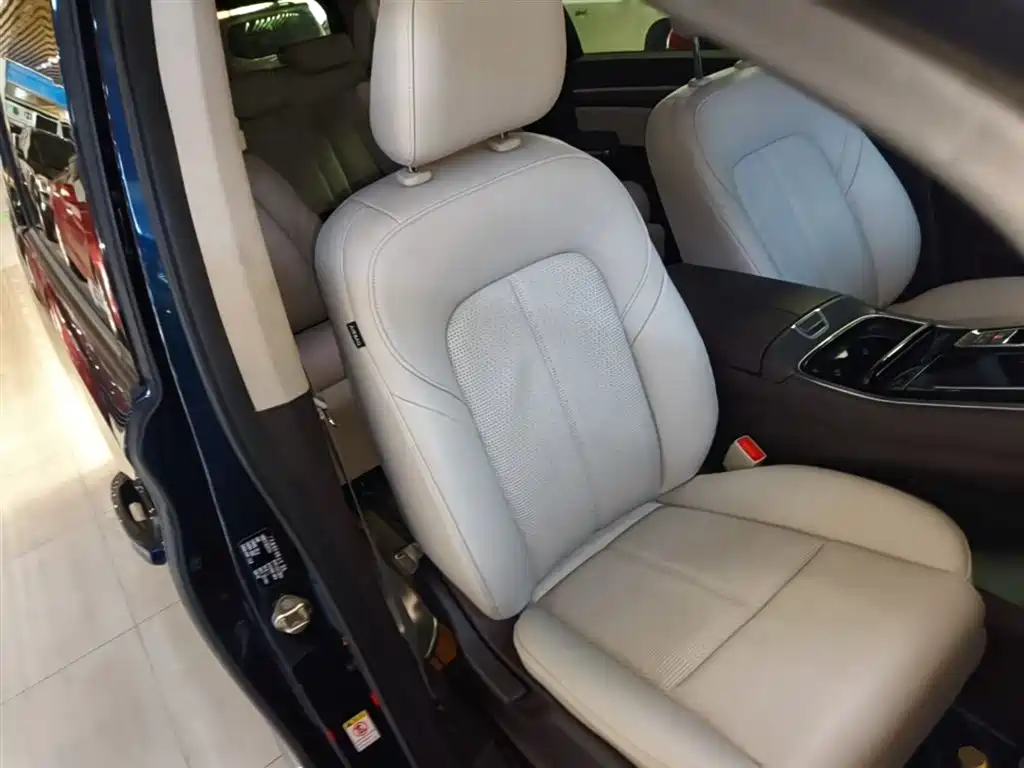 GAC Trumpchi Trumpchi M8 2021 Leading Show Series 390T Premium Edition фото 25
